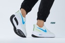Nike Zoom pegasus v10 Light Gray
